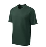 Dark Forest Green