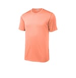 Soft Coral