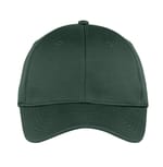 Dark Forest Green