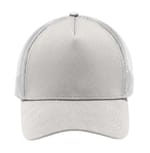 Silver/ White