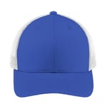 True Royal/ White