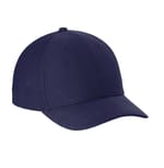 True Navy color