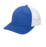 True Royal/ White