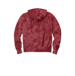 Champion TDS101 MulledBry back