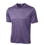 Purple Heather