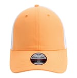 Melon Orange/ White