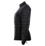 Burnside B5713 BLACK right