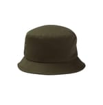 Olive color