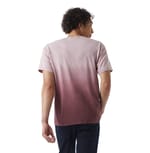 Champion CD100D MAROON OMBRE back