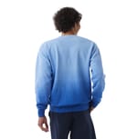 Champion CD400D ATH ROYAL OMBRE back