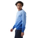 Champion CD400D ATH ROYAL OMBRE right