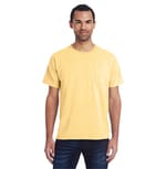 Summer Squash