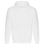 ARCTIC WHITE