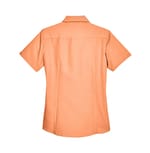 Harriton M560W Nectarine back