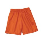 Athletic Orange