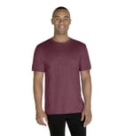 Maroon Snow Hth
