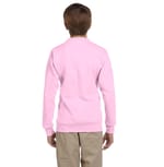 Hanes P360 PALE PINK back