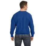 Champion S1049 Sport Royal back